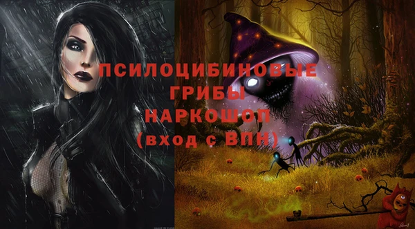 дмт Зеленодольск